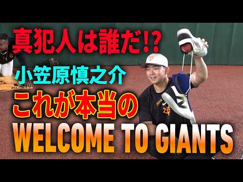 これが本当のWELCOME TO GIANTS
