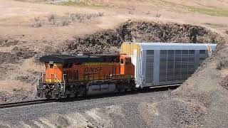 East Bound Double Stack/Auto Rack at Trinidad Hill On The BNSF Columbia River Sub - 6/15/25 DSCN0206