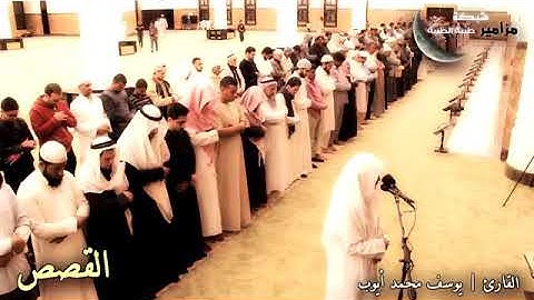 تلاوة من سورة القصص للقارئ / يوسف محمد أيوب