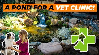 We built a Koi Pond with a Waterfall for this Vet Clinic in Morris Hills!