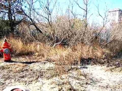 984 Whalehead Dr, Corolla, NC home video tour
