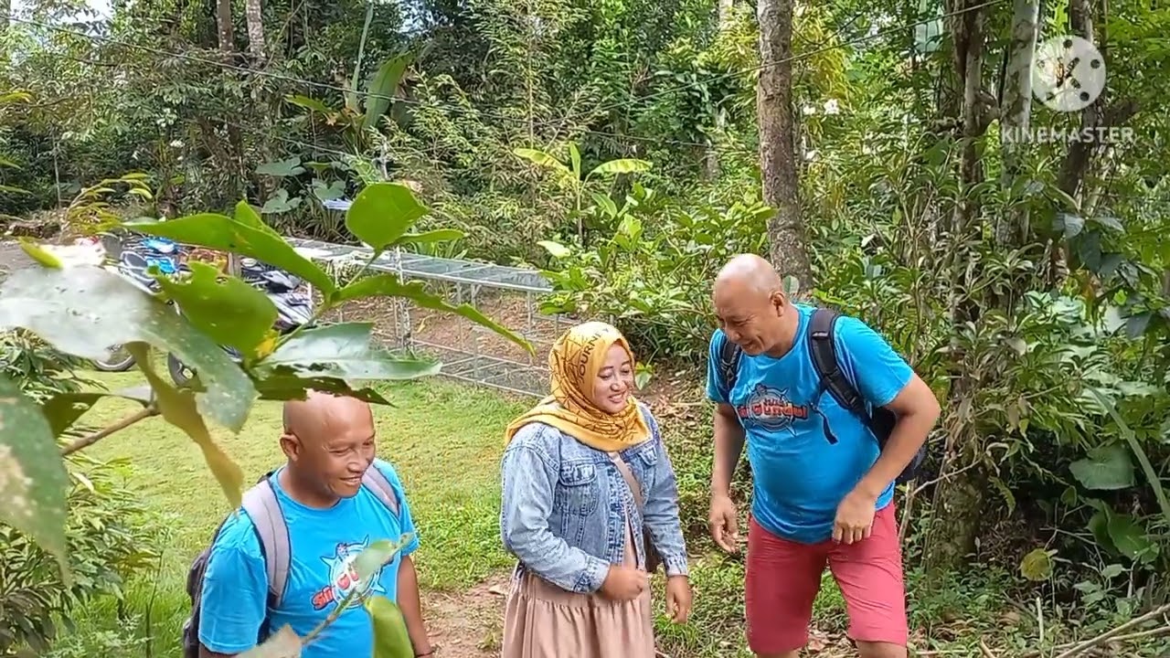 DURIAN SUSU ,DURIAN KETAN ,DURIAN GETHUK KHAS KALIWIRO WONOSOBO