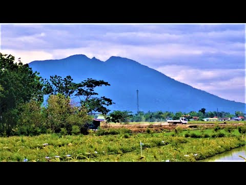 Candaba Town Province Of Pampanga Philippines - YouTube