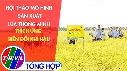 Hội thảo mô hình sản xuất lúa thông minh thích ứng biến đổi khí hậu