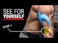 Can’t Build Big Triceps? Just Do THIS!!