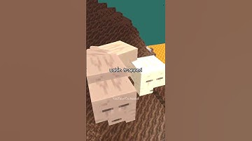 Minecraft: Why Ghasts Cry? (pt.2)