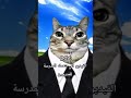 hhhh #funny #colonelkkjϟ #dance #cute #cat #kitten #dance