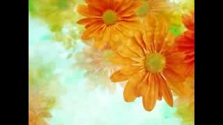 Best Quran Recitation :  Surah Yusuf - By Yousuf Kalo