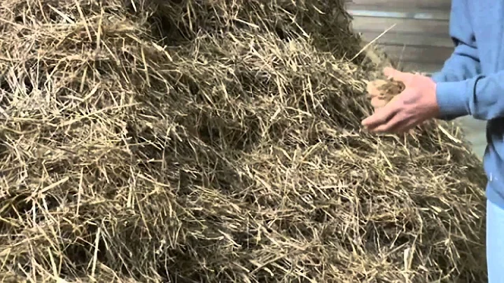 Is this art? Performance artist spends 2 days looking for needle in a haystack - DayDayNews