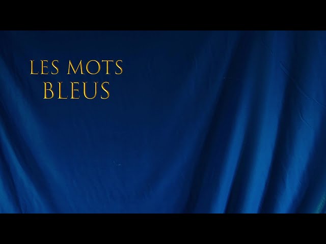 Johan Papaconstantino - Les mots bleus