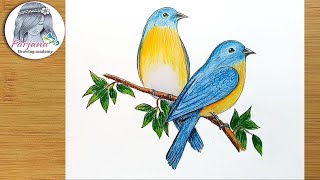 كيفية رسم الطيور الزرقاء الشرقية خطوة بخطوة