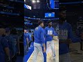 THE ROOK IMPRESSED THE VET!