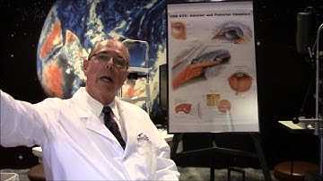 Case of the Day- Fuchs