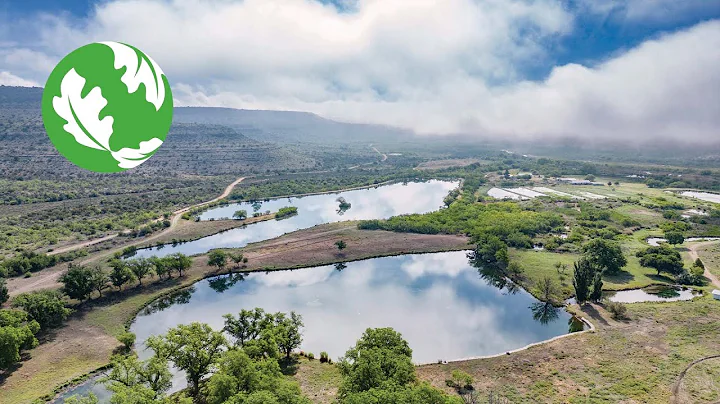 The Making of a Million