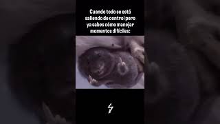 IG @Arion.ix 💯⚡️#parati #humor #disciplina #motivacion