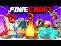 HO COMPLETATO LA SQUADRA PER LA LEGA POKEMON - PokeCraft Ep. 17