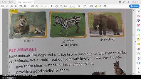 class 1 science chapter 9 animals around us part 2