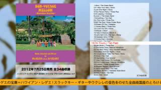 BON-VOYAGE MELLOW ~Hawaiian Rhythm~ Music Selected and Mixed by Mr.BEATS a.k.a. DJ CELORY