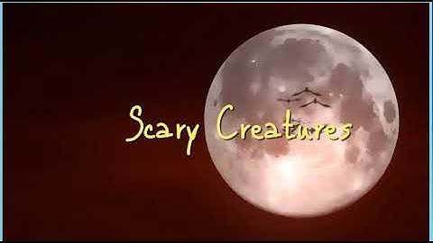 Excel 9. Module 5. Scary Creatures