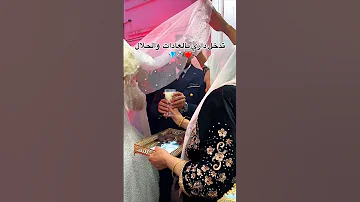 ابوني معاكم خوتي اكسبلور Manini Sahar Mariage تيك توك شاشه سوداء Rai عرس خطوبة محمد ديب 