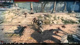 Wonky Vindictus Physics!