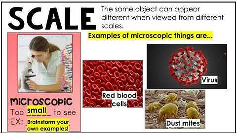 Cross Cutting Concept: Scale, Proportion, Quantity
