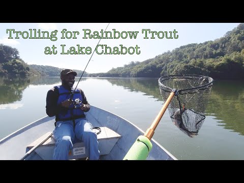 How to troll rapalas for stocked trout., pond, lake, What's your favorite  lure for trolling trout in lakes and ponds?! 🎣🤔