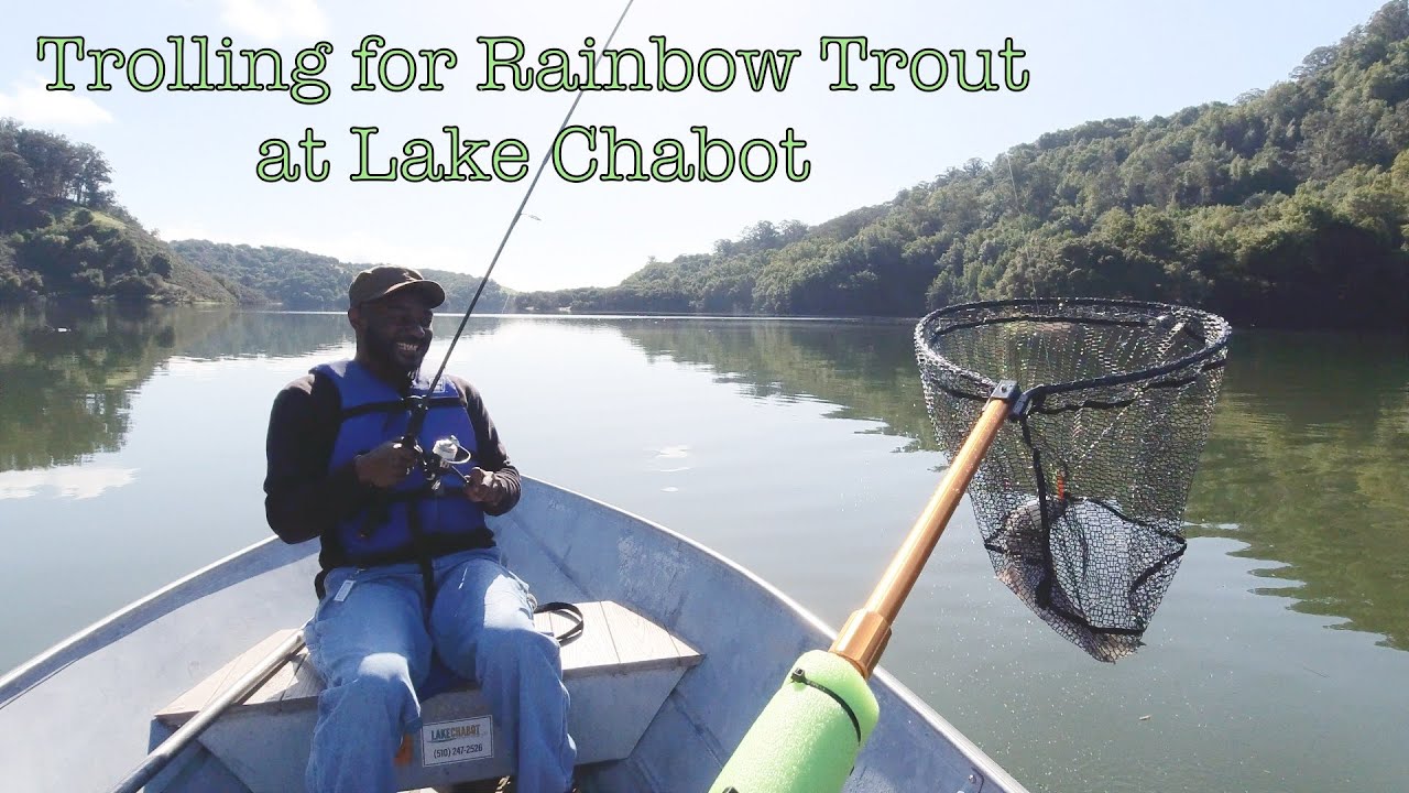 Rainbow Trout Trolling on a Rental Boat (Full Gear Guide with