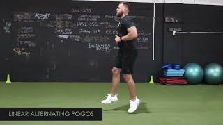 LINEAR ALTERNATING POGOS