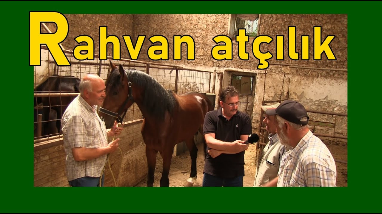 RAHVAN ATÇILIK | MENEMEN | KÖY TV | ADEM BİRİNCİ