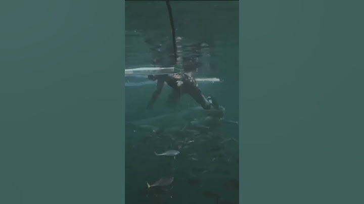 Tiburón ataca a buzo y queda grabado