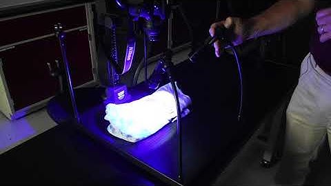 WCC Administration of Justice: Using Alternative Light Sources