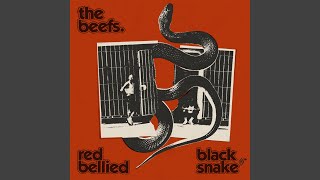 Video thumbnail of "The Beefs - Red Bellied Black Snake"