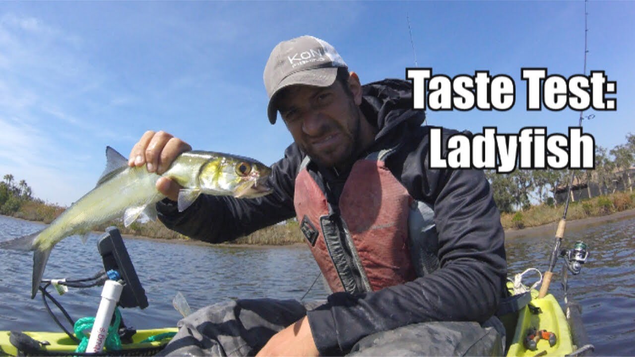 TRASH FISH Catch & Cook: LADYFISH 