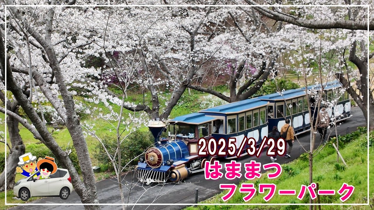 【はままつフラワーパーク】3月29日撮影した開花状況リポート