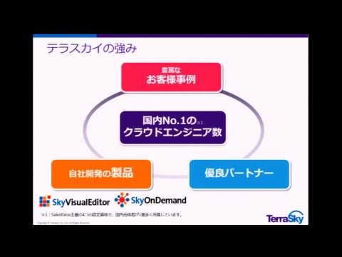 テラスカイ［3915］マザーズ IPO
