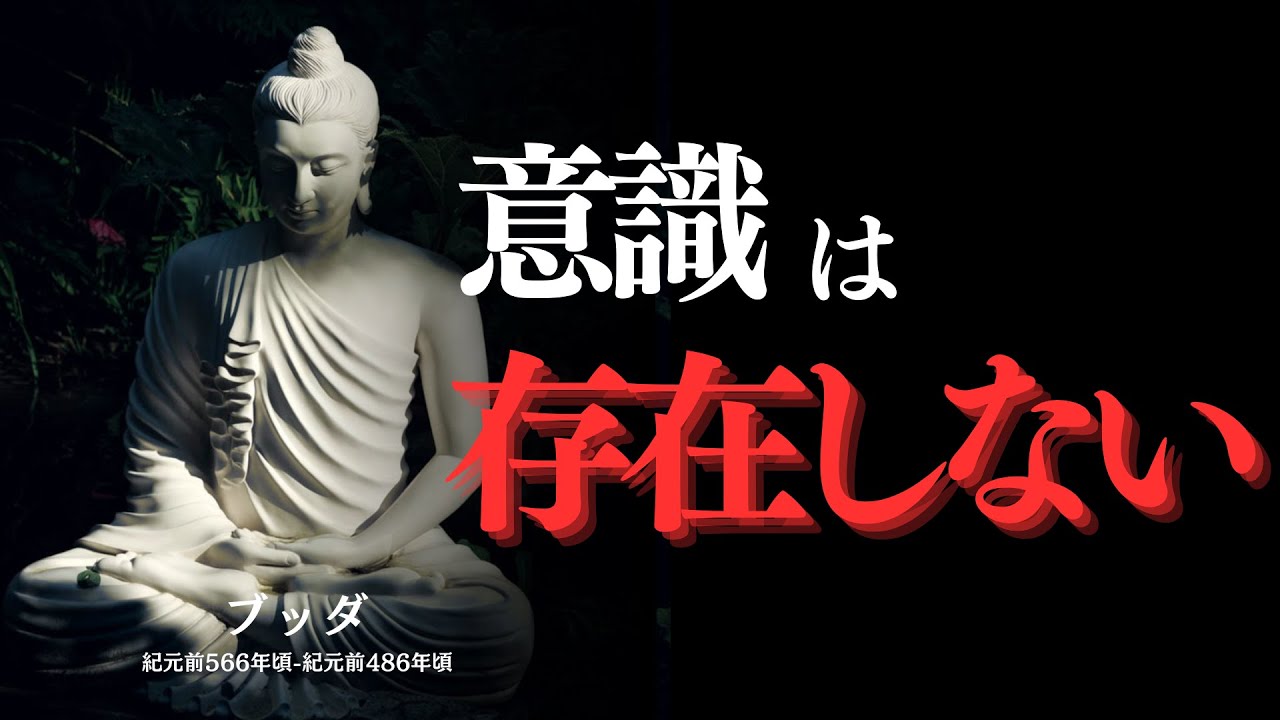 【ブッダ】意識は存在しない～架空の「私」への執着（苦しみの根本原因）から解放～