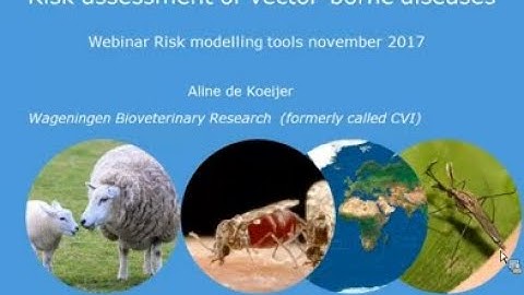 Webinar: Rapid risk assessment tools for animal disease outbreaks