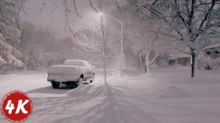 Night Walk in Extreme Winter SNOW STORM | Southern Ontario, Canada, Jan 2024 | 4K