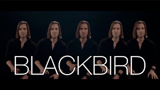 Blackbird | The Beatles | Bass Singer Cover
