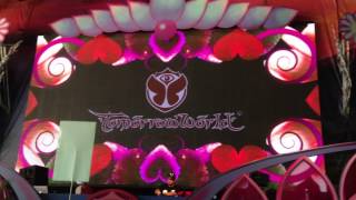 Deorro Live @ TomorrowWorld (2) :: Dim Mak