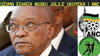 Uyihlalaze wayibeka yacacela ngisho ingane eyokulaxaza I ANC asungule I MK u Zuma
