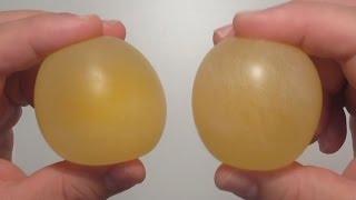 Rubber Egg Science Experiment By Crazy Hacker