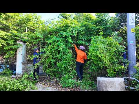 We Revived a HOUSE Swallowed by Nature in Just 2 HOURS — After 5 Years ABANDONED!