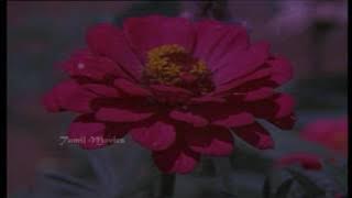 Paruvamae Song HD