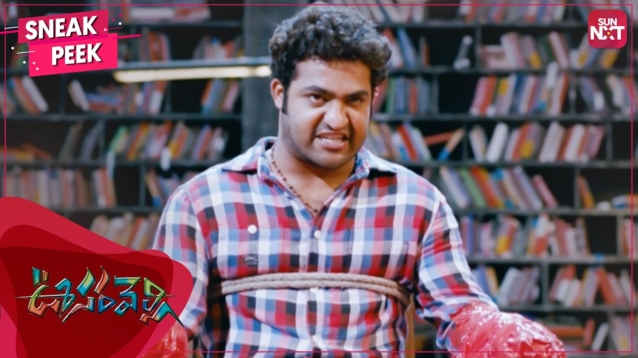 Young Tiger NTRs Mass Scene  Oosaravelli  NTR  Tamannaah  Prakash Raj  Telugu  SUN NXT