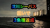 湾奥シーバスでホゲ倒す 淀川大堰 毛馬閘門 Youtube