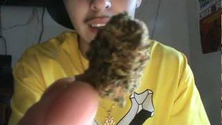 Northen Lights 8th -Yeah buddy- Weed smokers only!