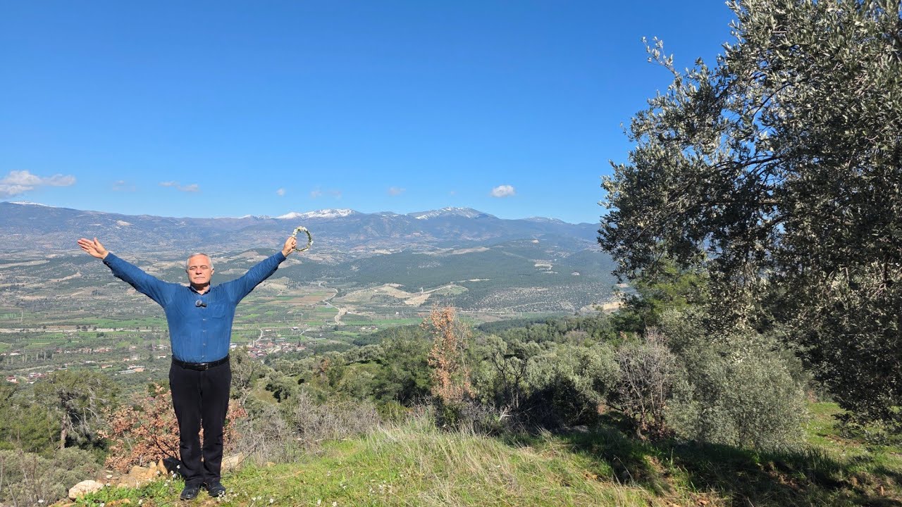 AYDIN'DA SATILIK 7200 MK ZEYTİN BAHÇESİ 220 ADET ZEYTİN AĞACI VAR  İMARA AÇIK FİYATI UCUZKEN ALDIN !