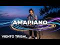 AFROBEAT MIX 2026 🔥+ AMAPIANO MIX 2026 🔥 by viento tribal new 5d